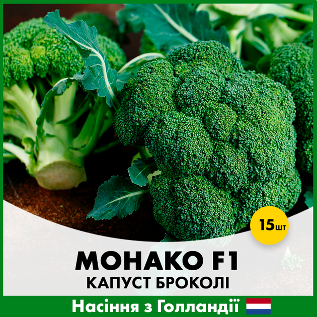 Голландське насіння Syngenta Капуста броколі Монако F1 15 шт - Фото 1 Голландське насіння Syngenta Капуста броколі Монако F1 15 шт - зображення 1