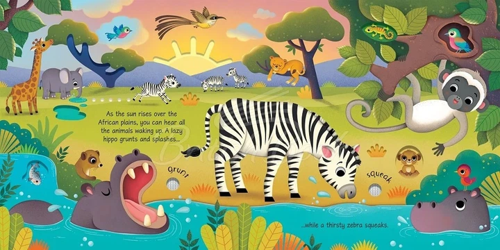 Книга зі звуками диких тварин Wild Animals Sound Book - зображення 3