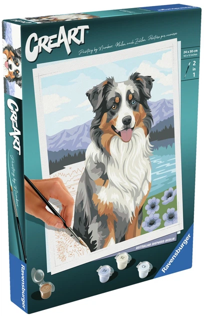 Картина за номерами Ravensburger CreArt Австралійська вівчарка Мерлін 12023114 (4005555231141) - зображення 2