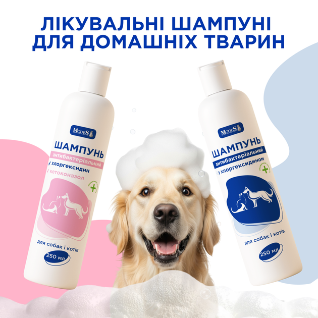 Шампунь антибактериальный с хлоргексидином для собак и кошек, 250 мл, MODES - изображение 5
