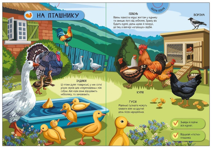 Большая игровая энциклопедия. Домашние животные. Толмачова А. - изображение 5