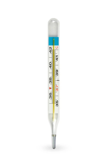 Термометр жидкостный без ртути Gamma Thermo Zoom - изображение 2