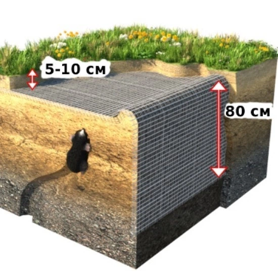 Пластикова сітка 6х8/1.3 мм 2×30 м. від кротів чорна - изображение 3