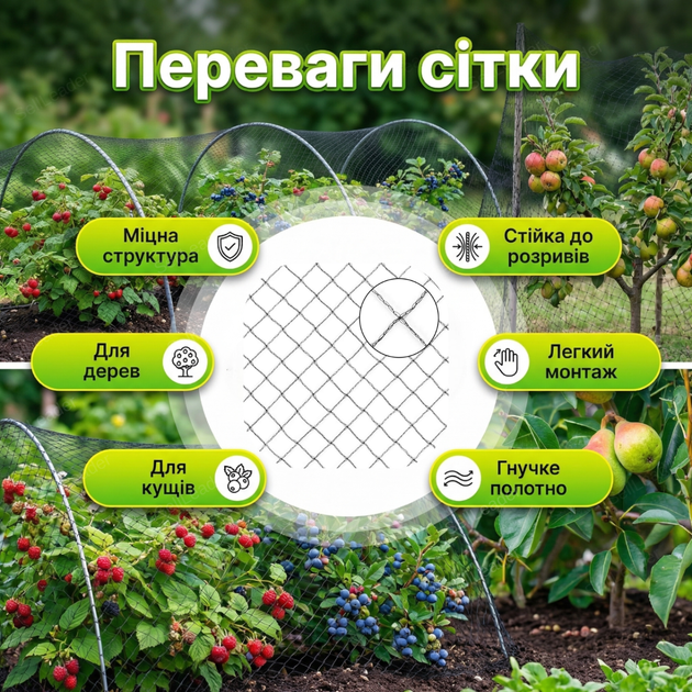 Сетка Bradas 10x50 м 20 г/м² для защиты от птиц противоптичья деревьев садовая 15×15 мм UV-стойкая - Фото 2 Сетка Bradas 10x50 м 20 г/м² для защиты от птиц противоптичья деревьев садовая 15×15 мм UV-стойкая - изображение 2