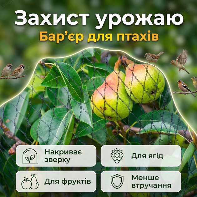 Сетка Bradas 10x50 м 20 г/м² для защиты от птиц противоптичья деревьев садовая 15×15 мм UV-стойкая - Фото 6 Сетка Bradas 10x50 м 20 г/м² для защиты от птиц противоптичья деревьев садовая 15×15 мм UV-стойкая - изображение 6