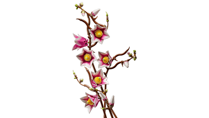 Конструктор Lego Ветки Магнолии Botanicals 11510 - изображение 8