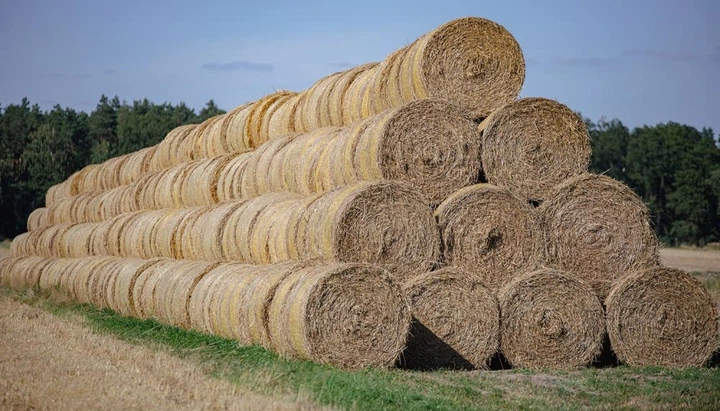 Сельскохозяйственная сетка для тюков Bradas BALER NET PLUS, 1,25x2000 м (AK-BNP125X2000) - изображение 2