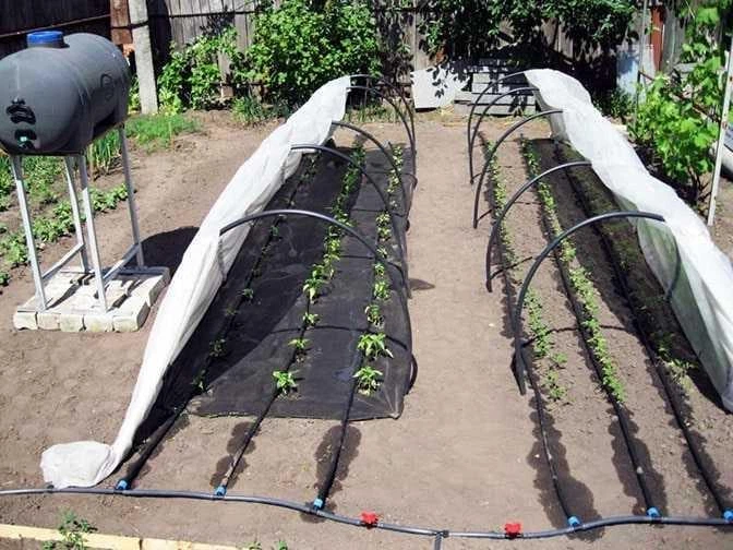 Теплица-мини Agro 8 м 50 г/м2 для ранней рассады и защиты от заморозков - изображение 13