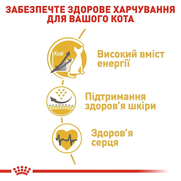 Royal Canin Sphynx Adult (Роял Канін Сфінкс) сухий корм для котів породи Сфінкс від 1 року, 2 КГ - изображение 2