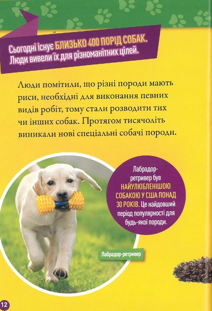 National Geographic Kids. Гав! 100 цікавих фактів про собак - зображення 4