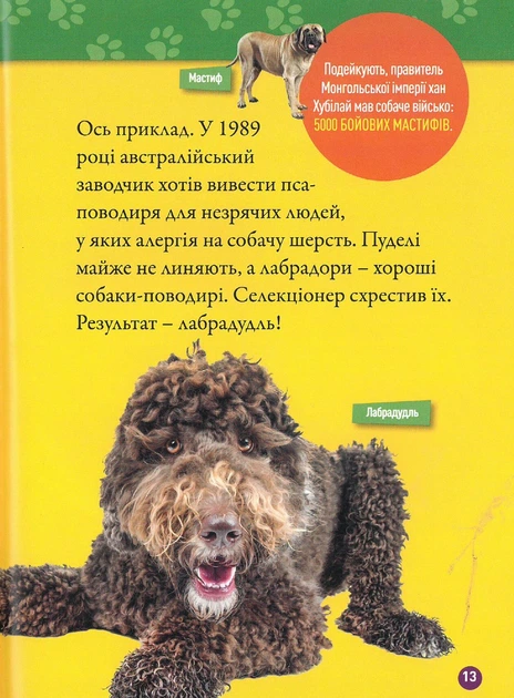 National Geographic Kids. Гав! 100 цікавих фактів про собак - зображення 5