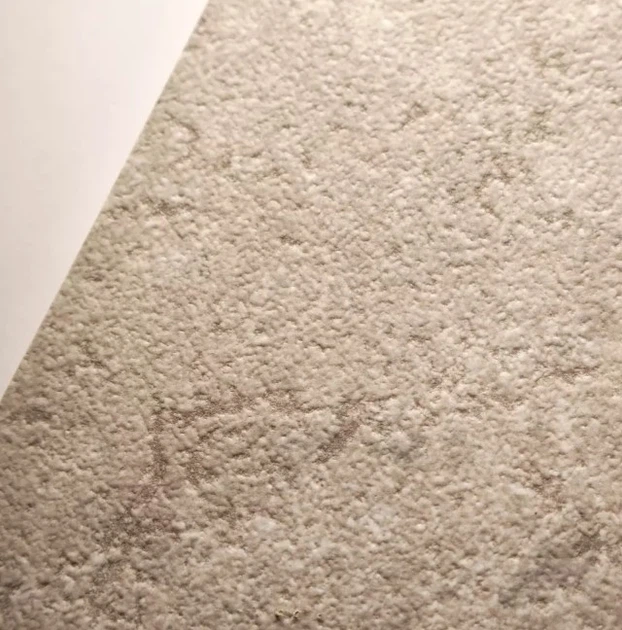 Керамогранит Alaplana PE Portland Sand Mate Rect 100х100см - изображение 4