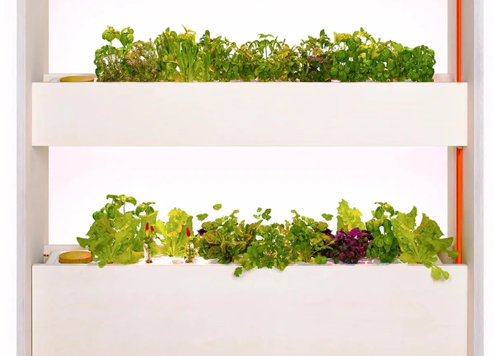 Гроубокс Click and Grow Salad & Herb Kit вертикальный сад (WFHSK) - изображение 3