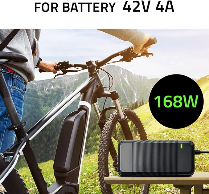 Швидка зарядка для електровелосипедів та самокатів Qoltec 36 В 42 В 4 A 5.5 x 2.1 (5901878526126) - зображення 10