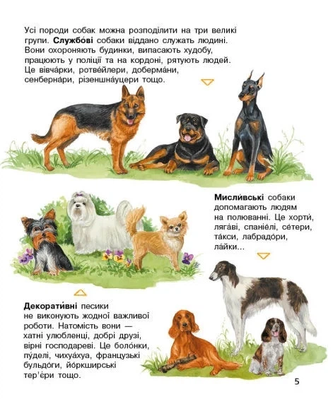 Книга «Енциклопедія дошкільника: Собаки». Автор - Юлія Каспарова - зображення 3