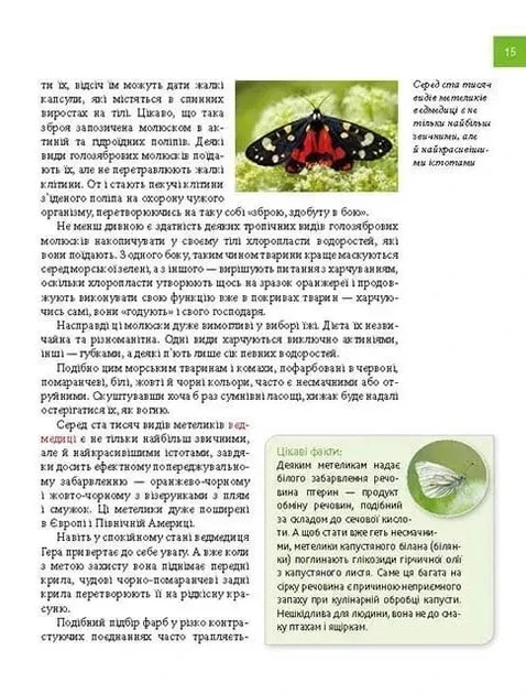 Книга «Тварини - майстри маскування. Енциклопедія для допитливих». Автор - Андрій Гапченко - Фото 5 Книга «Тварини - майстри маскування. Енциклопедія для допитливих». Автор - Андрій Гапченко - изображение 5