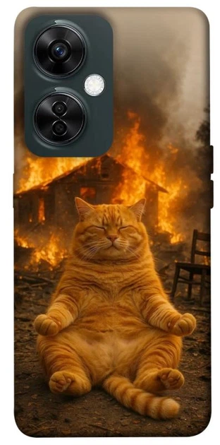 TPU чохол Demsky Burning cat для OnePlus Nord CE 3 Lite - Фото 1 TPU чохол Demsky Burning cat для OnePlus Nord CE 3 Lite - зображення 1
