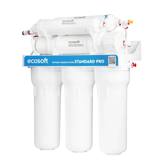 Система обратного осмоса Ecosoft Standard MO650MECOSTD 6-50 с минерализатором - изображение 4