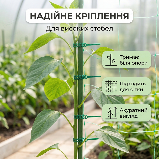 Стяжки Bradas разъемные 300 мм эластичные для крепления растений хомуты многоразовые пластиковые садовые - Фото 7 Стяжки Bradas разъемные 300 мм эластичные для крепления растений хомуты многоразовые пластиковые садовые - изображение 7