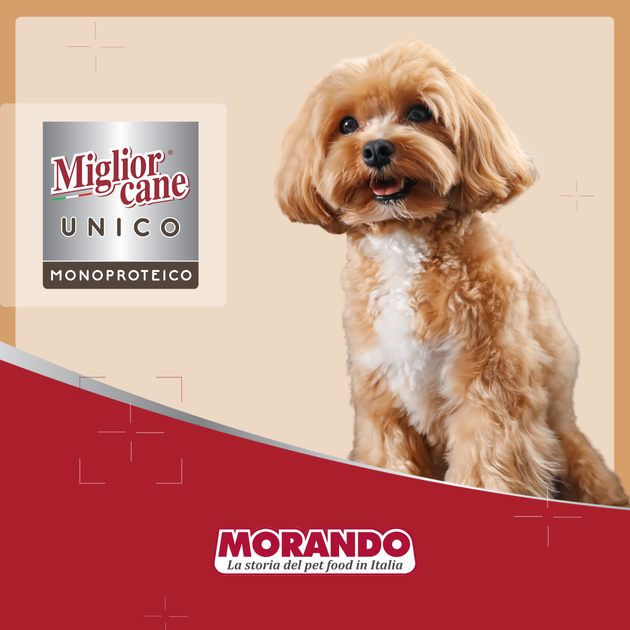 Консервированный корм Morando Migliorcane UNICO Влажный корм для собак, паштет из прошутто 100 г (m02451) - изображение 6