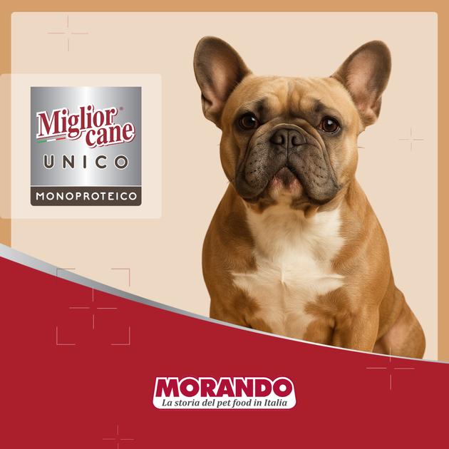 Консервированный корм Morando MigliorCane Unico only Turkey для собак, с индейкой 150 г (m02440) - Фото 6 Консервированный корм Morando MigliorCane Unico only Turkey для собак, с индейкой 150 г (m02440) - изображение 6