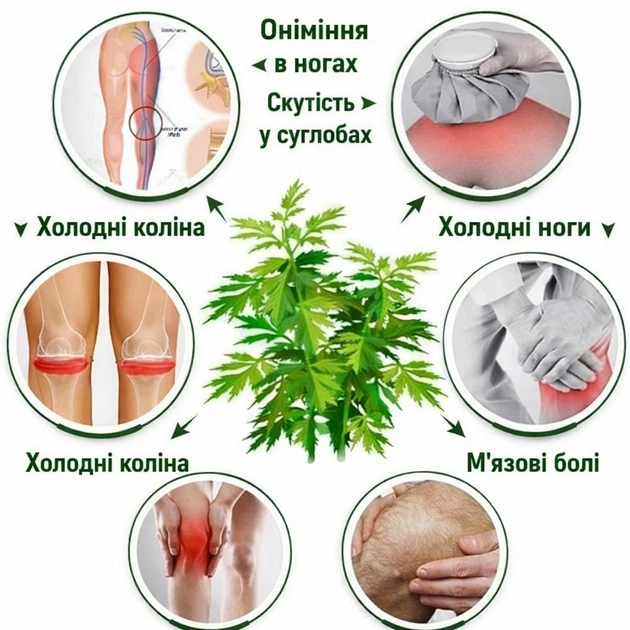Бандаж на колінний суглоб із полину. XL/40-50см. 2шт. Еластичний. Чорний. Зігрівально-лікувальний. Бандаж коліна - зображення 7