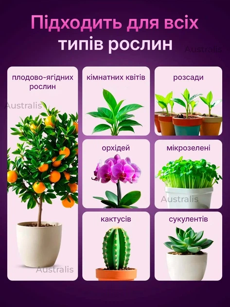 Фитолампа для роста растений полного спектра ультрафиолетовая лампа для растений, рассады, цветов гибкая лампа для растений на прищепке с таймером 2 LED - Фото 9 Фитолампа для роста растений полного спектра ультрафиолетовая лампа для растений, рассады, цветов гибкая лампа для растений на прищепке с таймером 2 LED - изображение 9