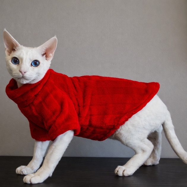Флісова кофта для котів (кішок) Фараон S Червоний - Фото 3 Флісова кофта для котів (кішок) Фараон S Червоний - зображення 3