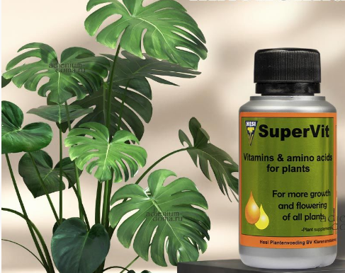 SuperVit HESI 10ml комплекс вітамінів та амінокислот для рослин - Фото 4 SuperVit HESI 10ml комплекс вітамінів та амінокислот для рослин - изображение 4