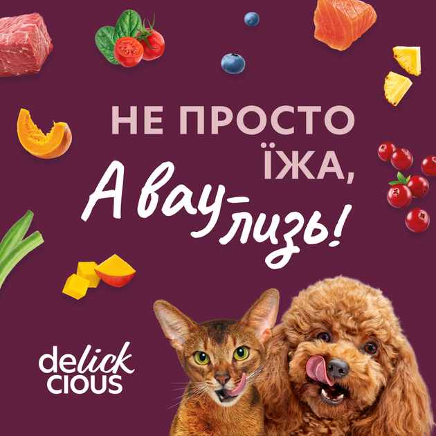 Консервированный корм Delickcious Суп из сардины с креветками и добавлением тыквы 80 г (D6251303) - изображение 8