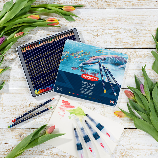 Чорнильні олівці Inktense 24кол Derwent - Фото 5 Чорнильні олівці Inktense 24кол Derwent - изображение 5
