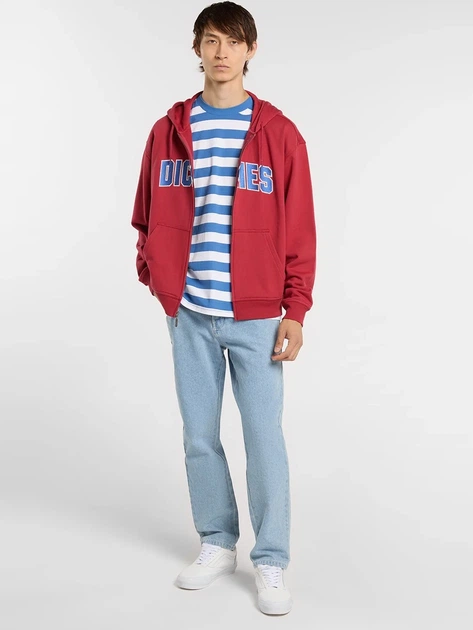 Футболка бавовняна довга чоловіча Dickies DK0A4Y8Y-L46 S Синій/Білий (800070358171) - зображення 3