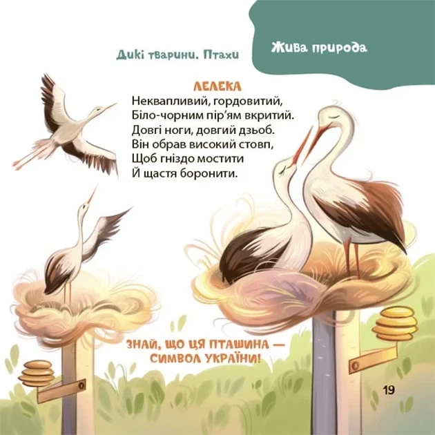 Книга «Віршенята-загадки для малят. 3–5 років». Автор - Юлія Пеліхова - изображение 8