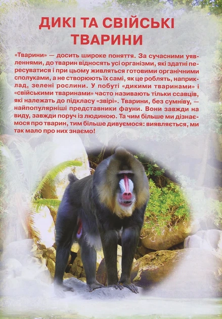 Ілюстрований атлас живої природи - зображення 2