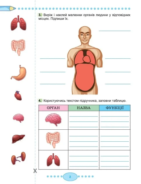 Книга «Я досліджую світ 3 клас. Робочий зошит з інтегрованого курсу. Частина 2». Автор - Світлана Тарнавська - Фото 3 Книга «Я досліджую світ 3 клас. Робочий зошит з інтегрованого курсу. Частина 2». Автор - Світлана Тарнавська - зображення 3