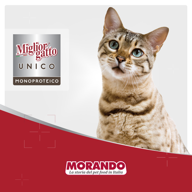 Консервированный корм Morando MigliorGatto Unico only Lamb для кошек, с ягнёнком 85 г (m01432) - изображение 5