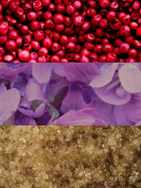 Парфумований лосьйон для тіла Victoria's Secret Sweet Sugared Violet 236 мл - зображення 3