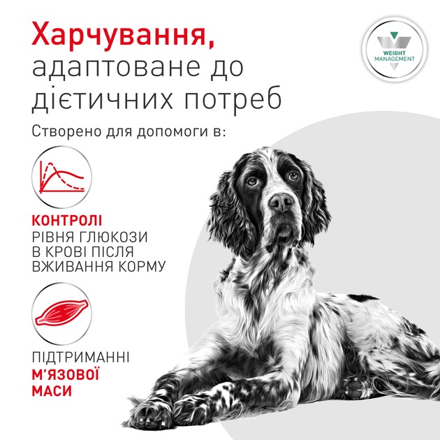 Лечебный корм Royal Canin Glycobalance Low Carbohydrate Влажный корм-диета для контроля уровня глюкозы при сахарном диабете у взрослых собак 410 г (R603745) - изображение 3
