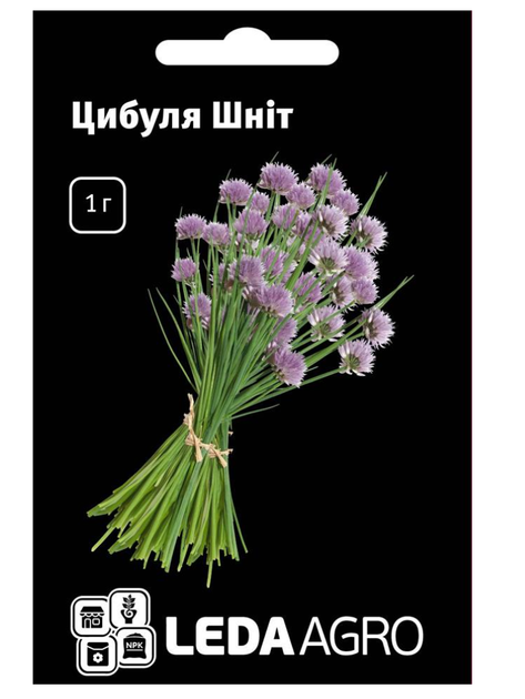 Цибуля "Шніт" (на перо) ТМ "Leda Agro" 1 г. - Фото 1 Цибуля "Шніт" (на перо) ТМ "Leda Agro" 1 г. - изображение 1