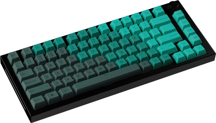Кейкапи Glorious Gaming Keycaps US ANSI 114 Rain Forest (GLO-KC-GPBT-RF) - Фото 4 Кейкапи Glorious Gaming Keycaps US ANSI 114 Rain Forest (GLO-KC-GPBT-RF) - зображення 4