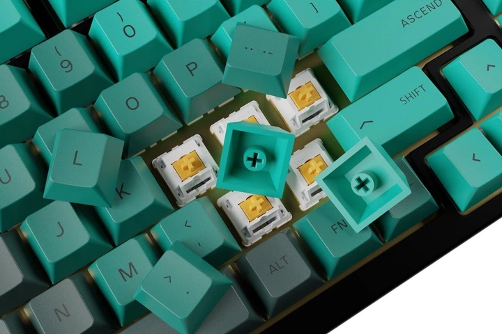 Кейкапи Glorious Gaming Keycaps US ANSI 114 Rain Forest (GLO-KC-GPBT-RF) - Фото 7 Кейкапи Glorious Gaming Keycaps US ANSI 114 Rain Forest (GLO-KC-GPBT-RF) - зображення 7
