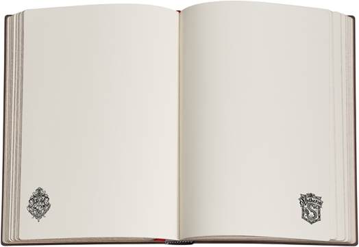 Записная книжка Paperblanks Гарри Поттер – Слизерин 12х18 см 144 страницы нелинованная (9781408765142) - Фото 2 Записная книжка Paperblanks Гарри Поттер – Слизерин 12х18 см 144 страницы нелинованная (9781408765142) - изображение 2