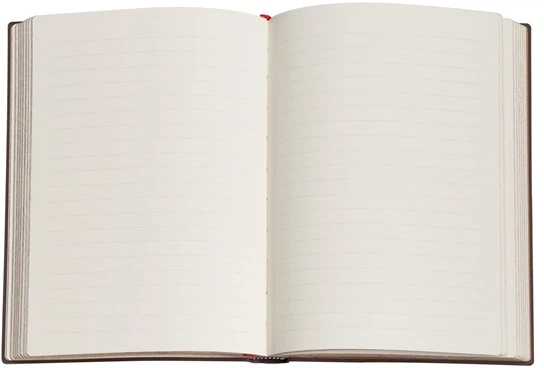 Записная книжка Paperblanks Путеводная звезда – Шелковое небо 18х23 см 144 страницы в линейку (9780349713410) - изображение 2