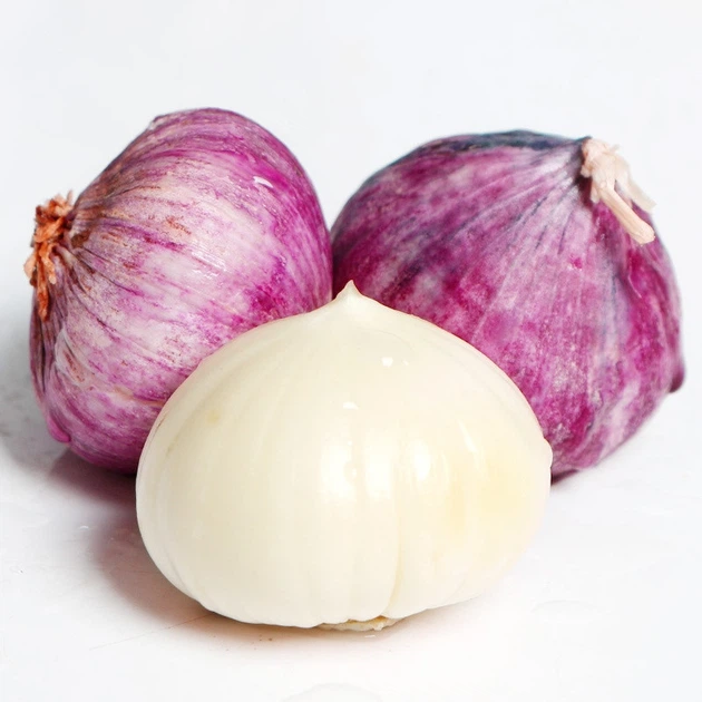 Часник одноголовий Bawang Lanang, насіння 300 шт. - Фото 1 Часник одноголовий Bawang Lanang, насіння 300 шт. - зображення 1