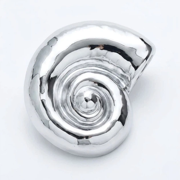 Брошь BROCHE бижутерия из стали Модерн Море Ракушка серебристая BRBF115425 - изображение 3