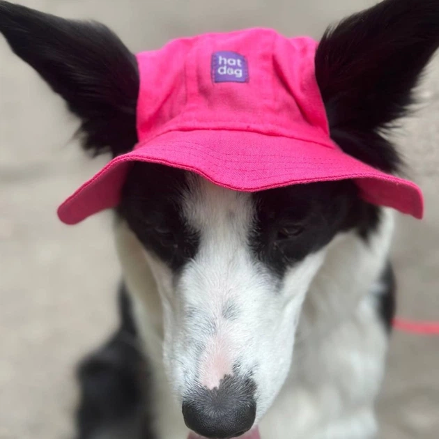 Панама для собак Hat-Dog S - малиновий - изображение 5