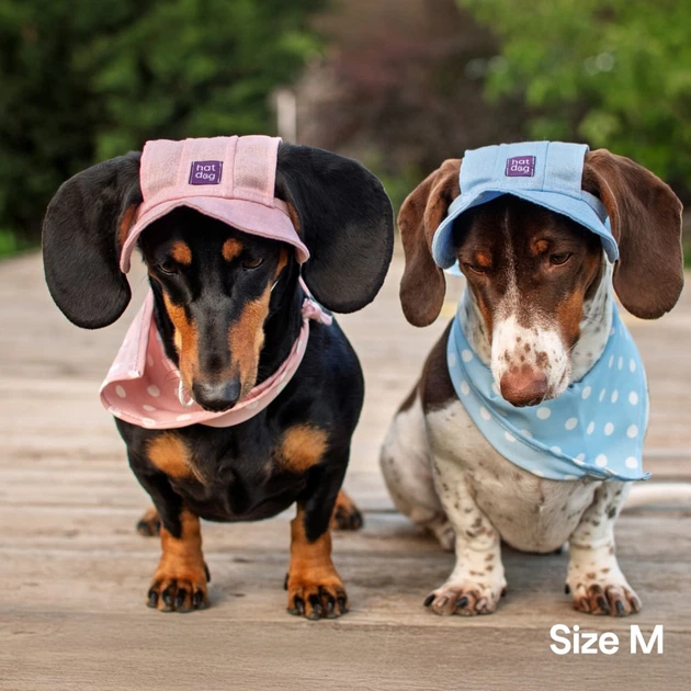 Панама для собак Hat-Dog L - блакитний - изображение 8