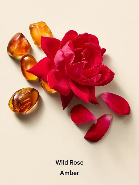 Подарунковий набір Victoria's Secret Wild Rose Amber Hydrating Body Lotion + Body Scrub (911/826) - Фото 4 Подарунковий набір Victoria's Secret Wild Rose Amber Hydrating Body Lotion + Body Scrub (911/826) - изображение 4