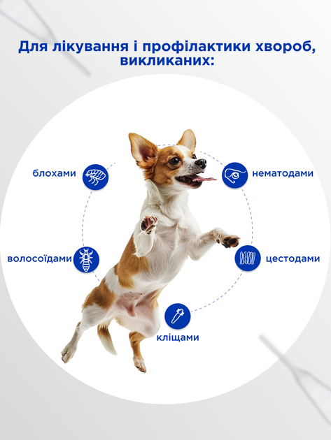 Протипаразитні краплі Селавет (Selavet) краплі для собак від 5,1 кг до 10,0 кг, 1,0 мл, MODES - Фото 2 Протипаразитні краплі Селавет (Selavet) краплі для собак від 5,1 кг до 10,0 кг, 1,0 мл, MODES - зображення 2