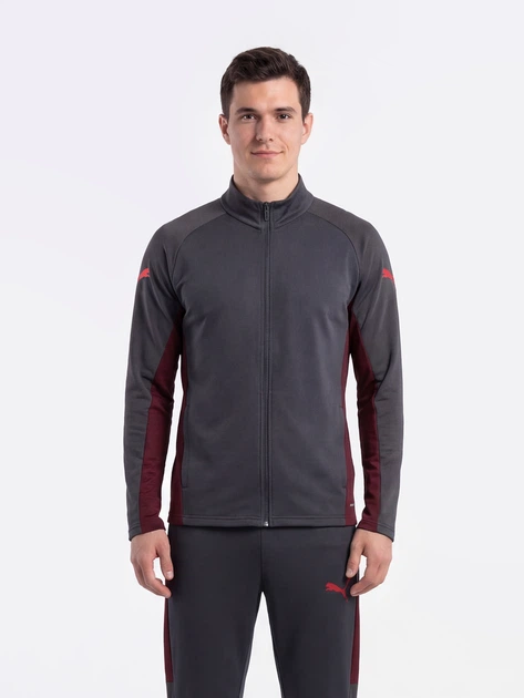 Спортивный костюм мужской Puma Individualliga 66057601 L Strong Gray-Red-Team Regal Red (4069162860194) - изображение 3